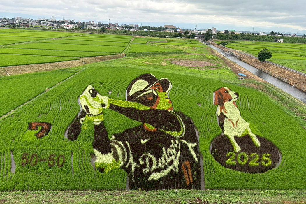 奥州市田園アート 大谷翔平